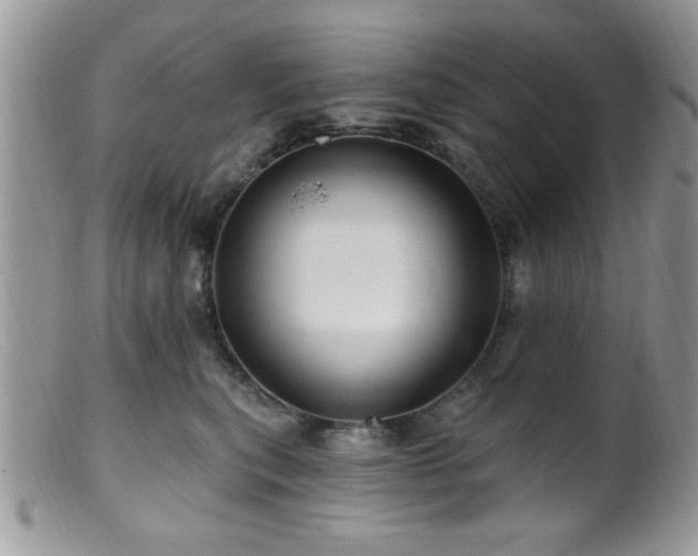 X0000099380567200805151621