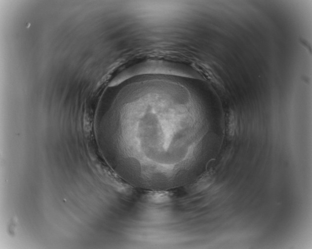 X0000099380569200805151621