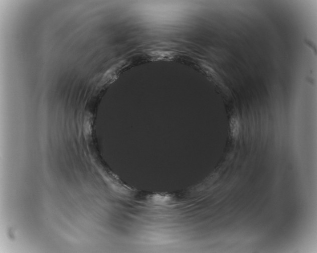 X0000099380570200805151621