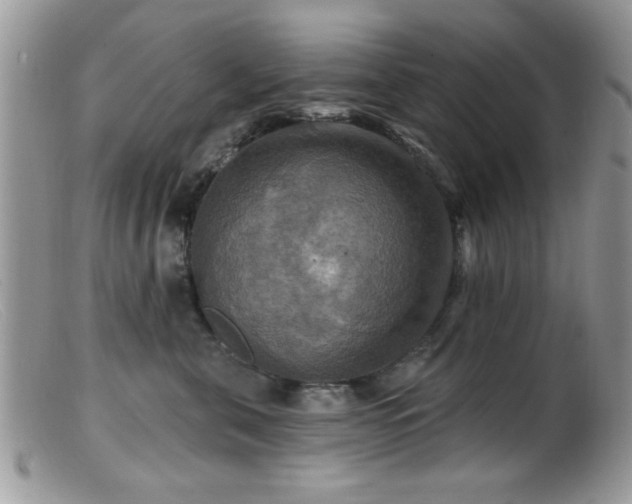 X0000099380571200805151621