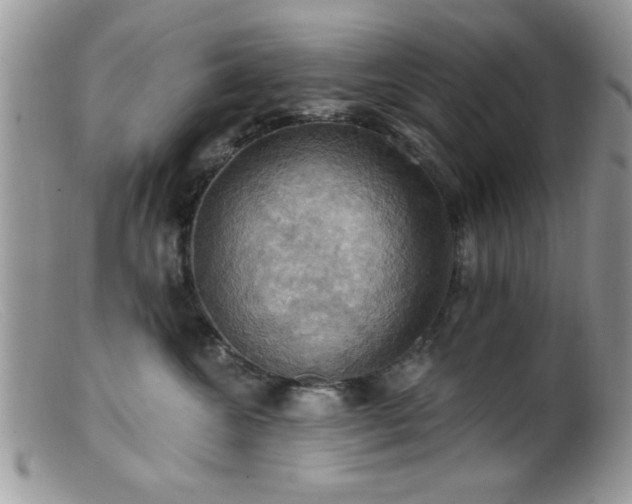 X0000099380572200805151621