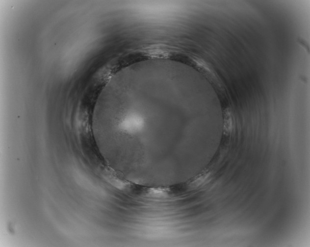 X0000099380573200805151621