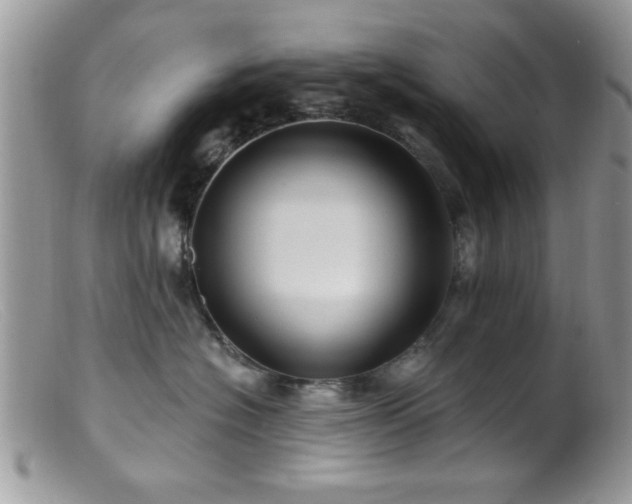 X0000099380574200805151621