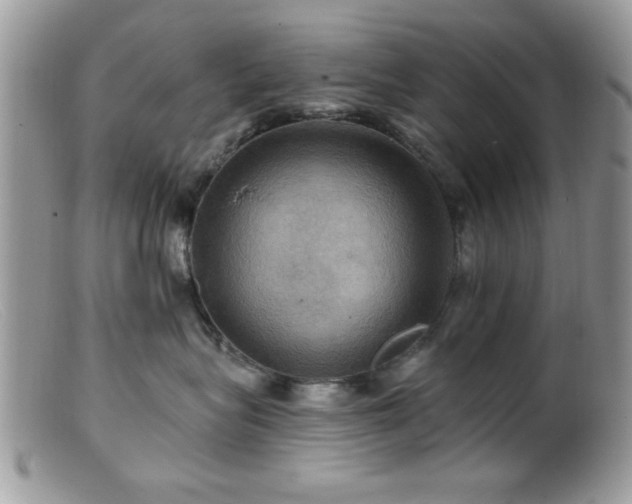 X0000099380575200805151621