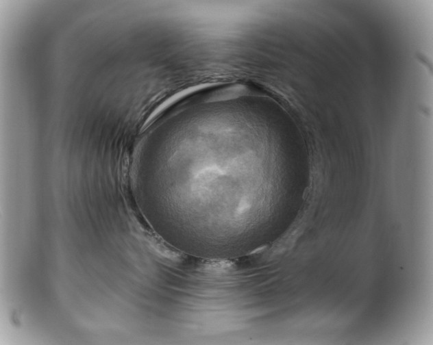 X0000099380576200805151621