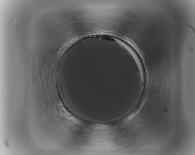 X0000099380577200805151621