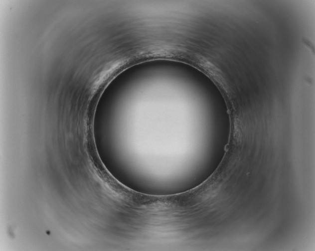 X0000099380578200805151621