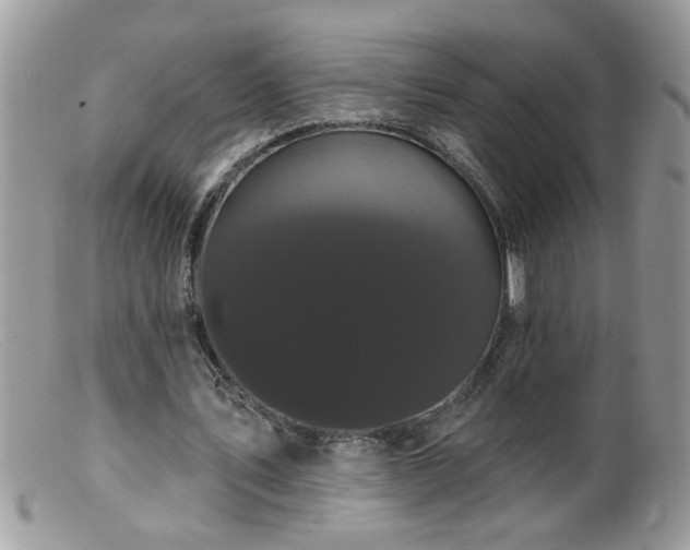 X0000099380579200805151620