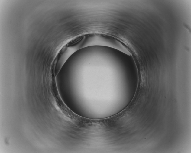 X0000099380580200805151620