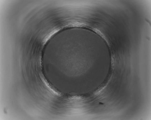 X0000099380581200805151620