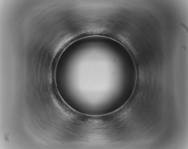 X0000099380582200805151620