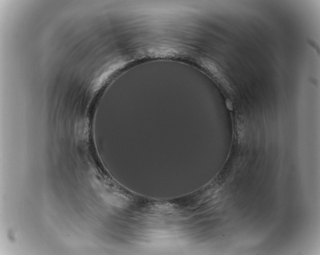 X0000099380583200805151620