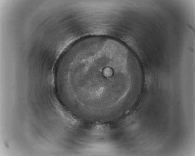 X0000099380584200805151620