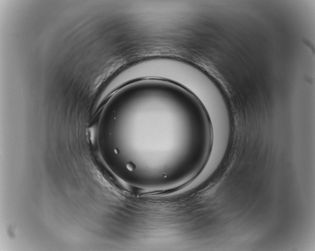 X0000099380585200805151620