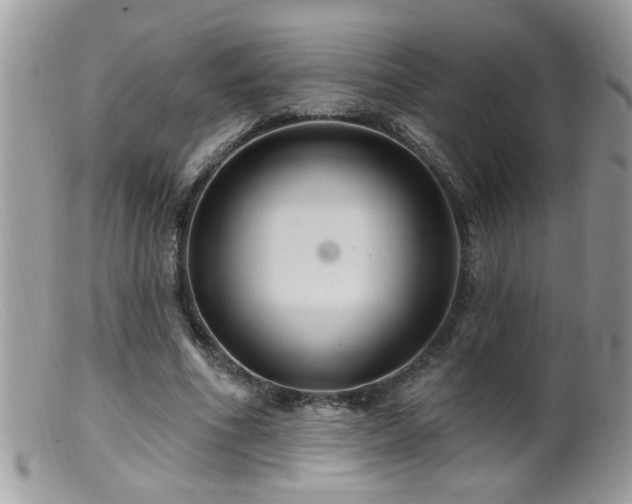 X0000099380586200805151620