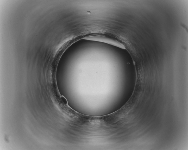 X0000099380587200805151620