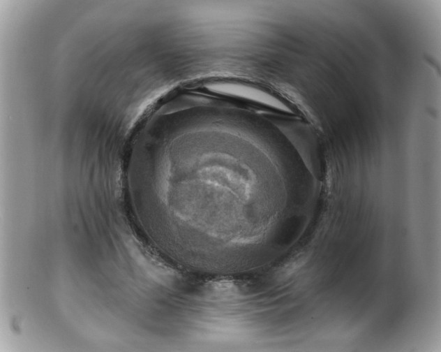 X0000099380588200805151620