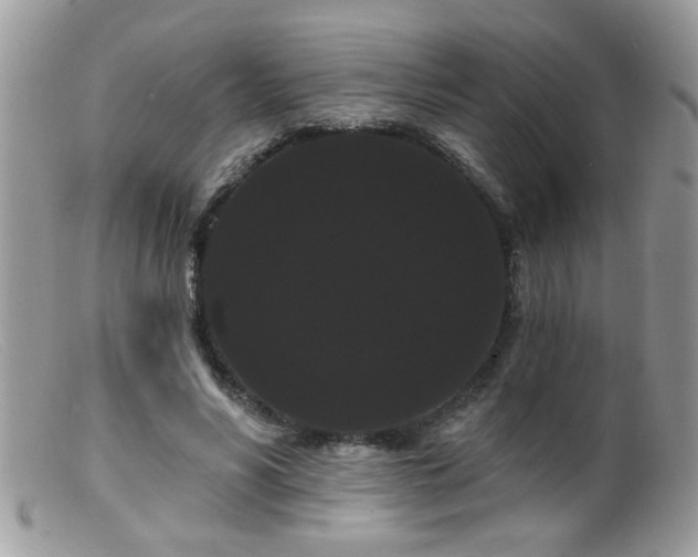 X0000099380590200805151620