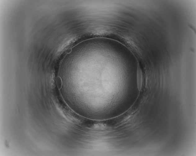 X0000099380591200805151620