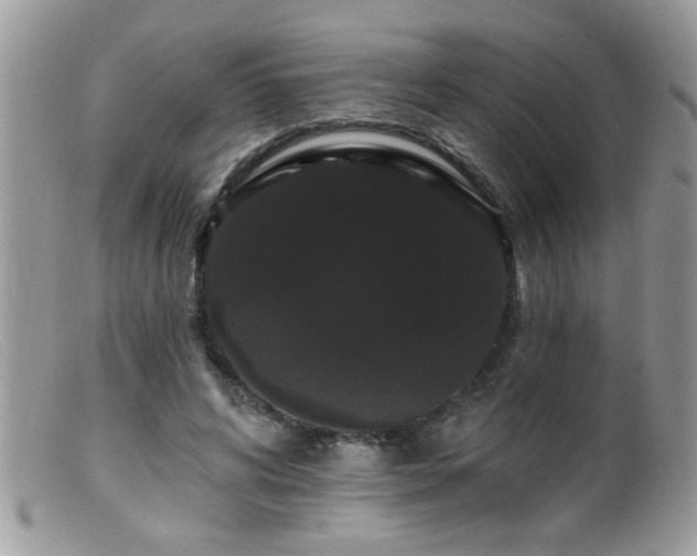 X0000099380592200805151620