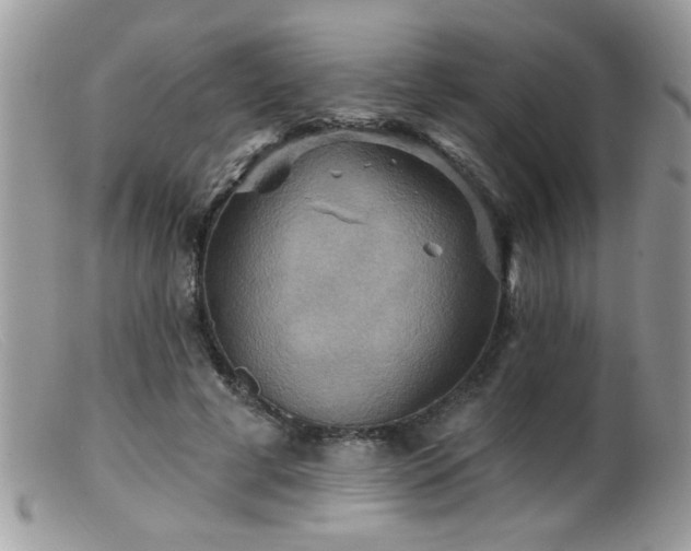 X0000099380593200805151620