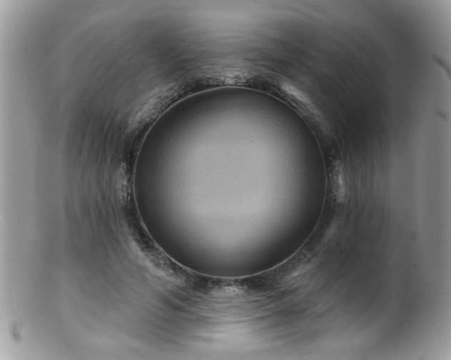 X0000099380594200805151620