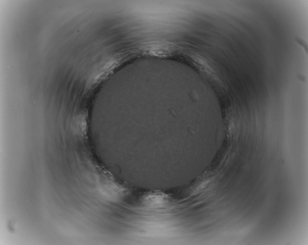 X0000099380595200805151620