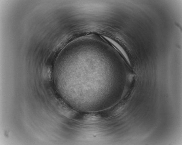 X0000099380597200805151620