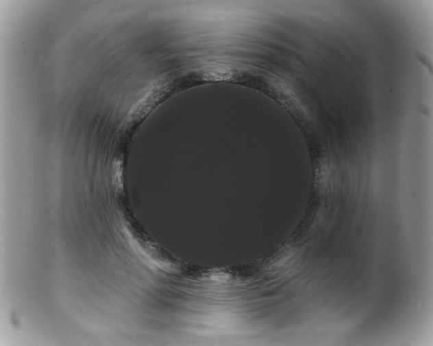 X0000099380598200805151620