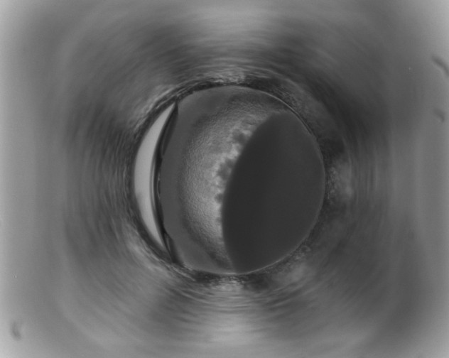 X0000099380600200805151620