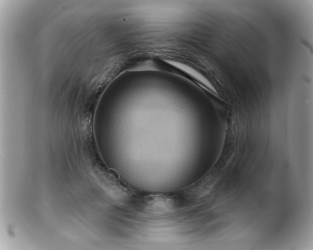 X0000099380601200805151620