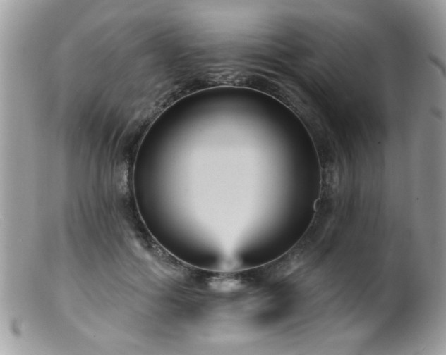 X0000099380602200805151620