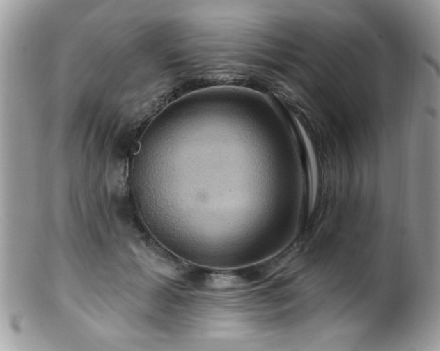 X0000099380605200805151620