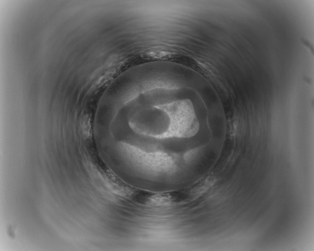 X0000099380606200805151620