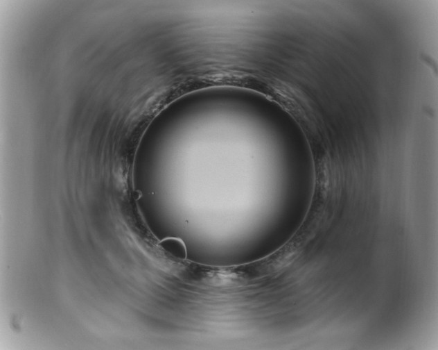 X0000099380607200805151620