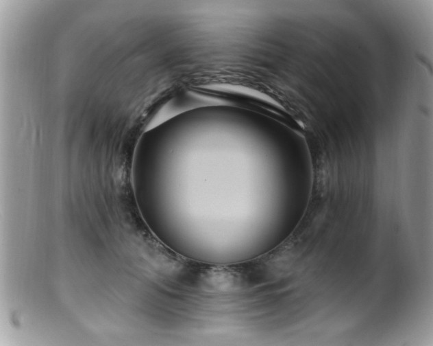 X0000099380608200805151620