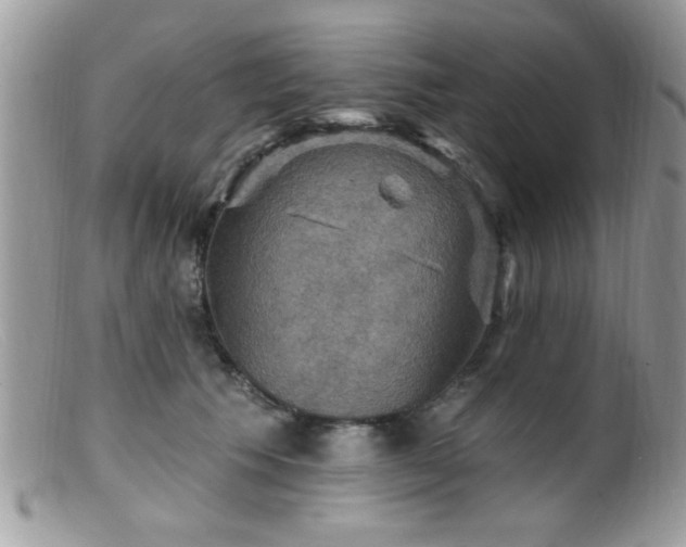 X0000099380609200805151620