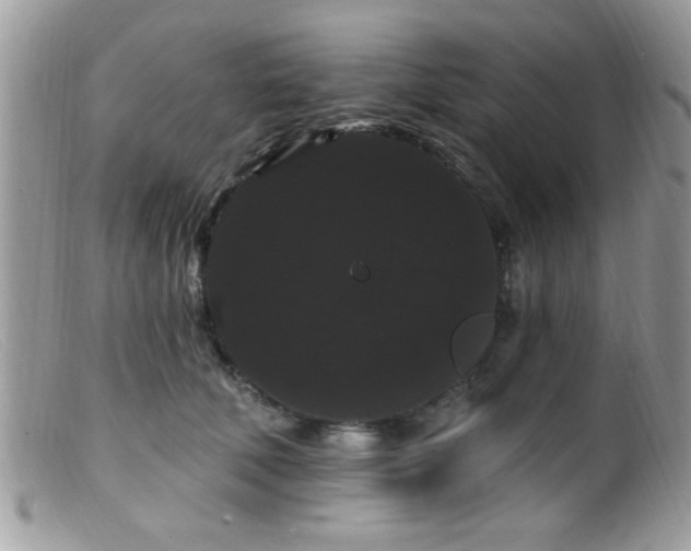 X0000099380610200805151620