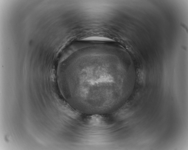 X0000099380612200805151620