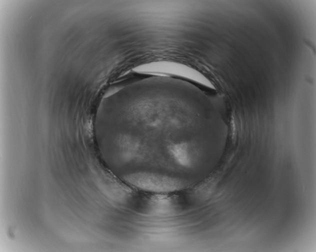 X0000099380613200805151620