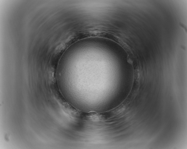 X0000099380615200805151620