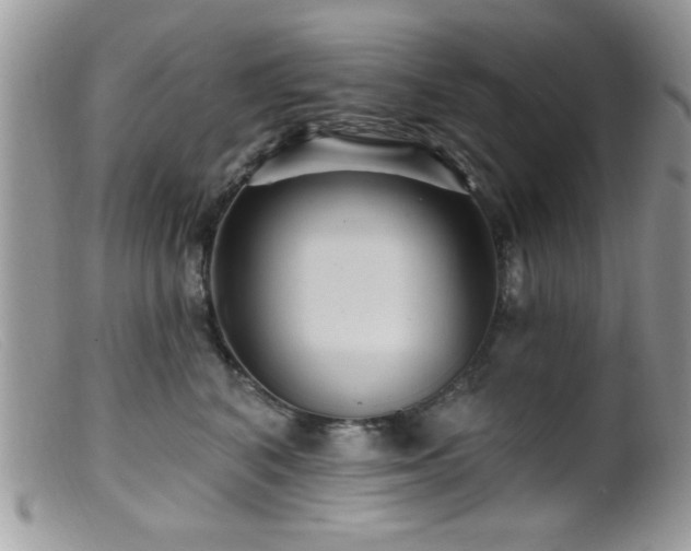 X0000099380616200805151620