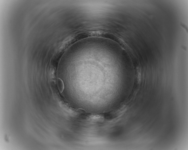 X0000099380619200805151620