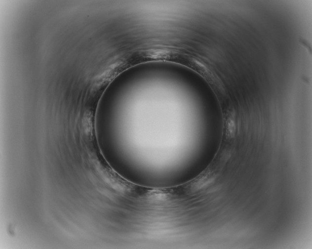 X0000099380620200805151620