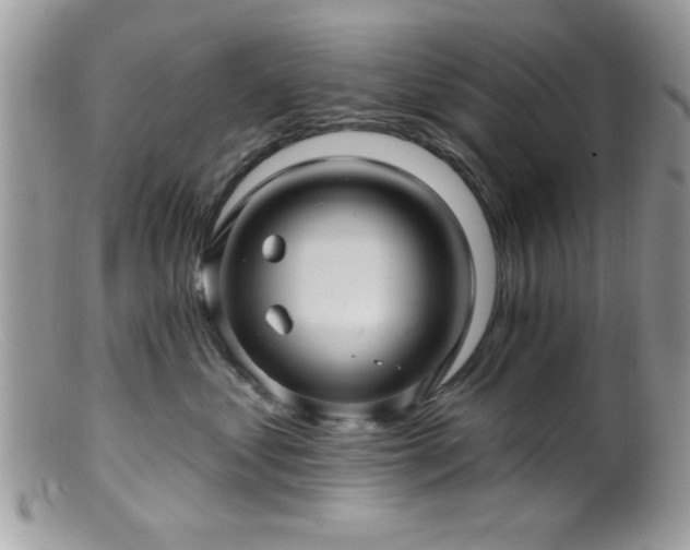 X0000099380621200805151620