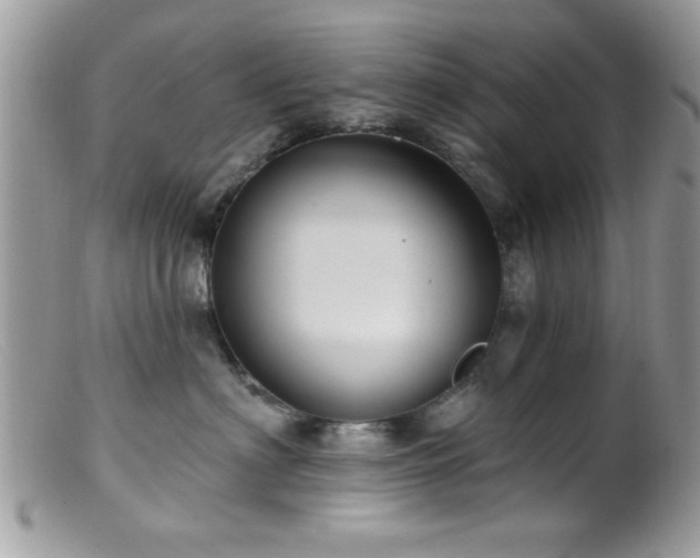 X0000099380622200805151620