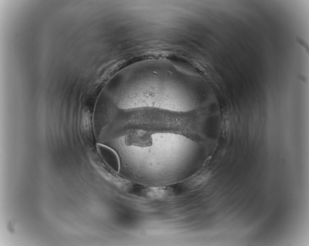 X0000099380623200805151620