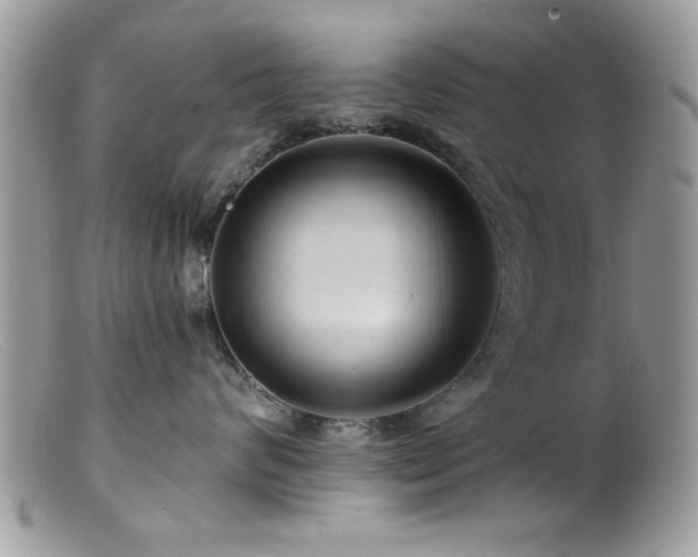 X0000099380624200805151620