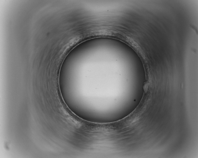 X0000099380625200805151619