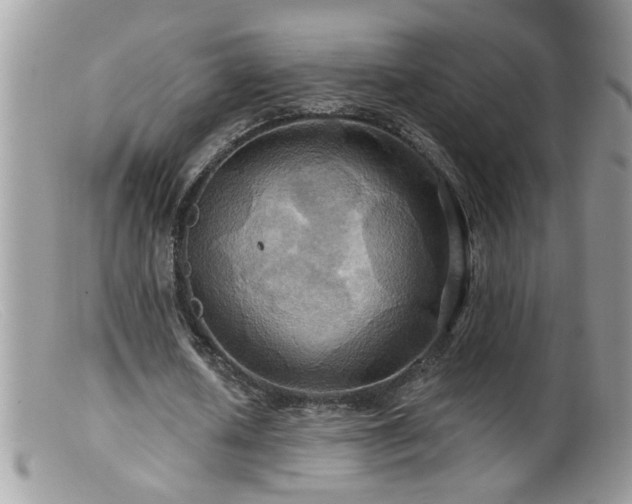 X0000099380626200805151619